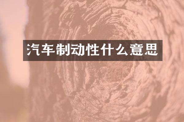 汽车制动性什么意思