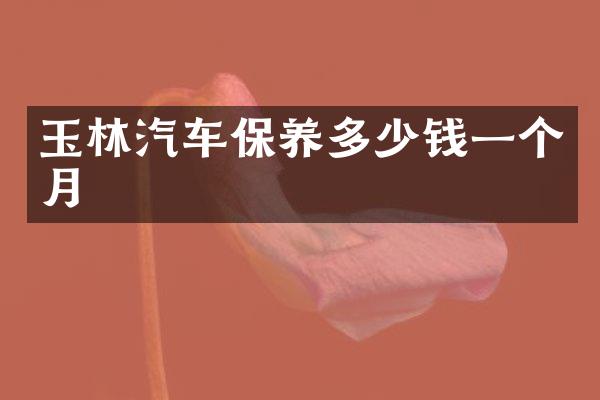 玉林汽车保养多少钱一个月