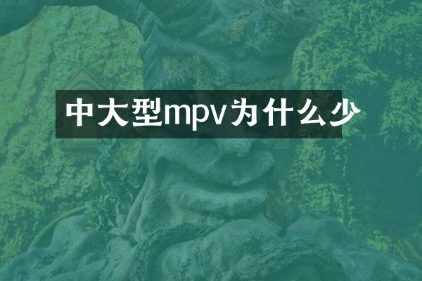 中大型mpv为什么少