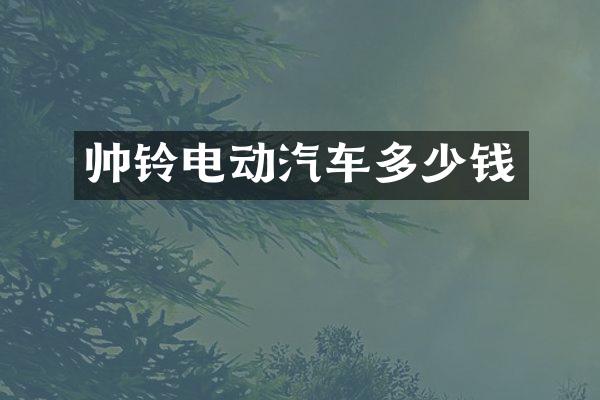 帅铃电动汽车多少钱