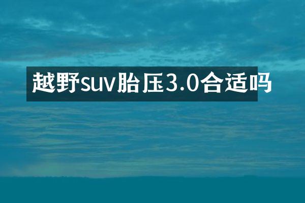 越野suv胎压3.0合适吗