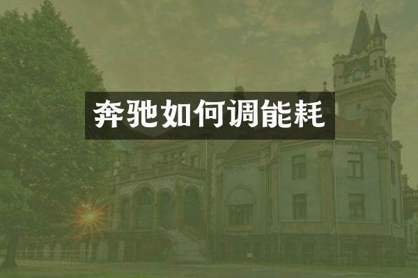 奔驰如何调能耗