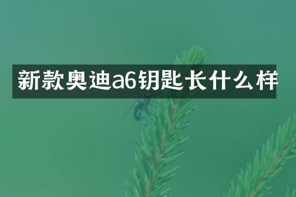 新款奥迪a6钥匙长什么样