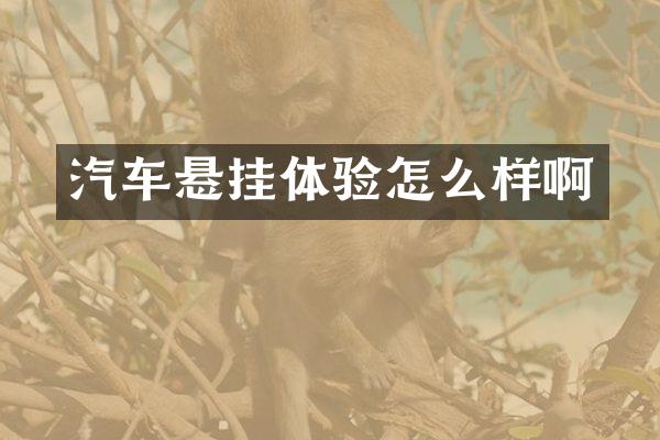 汽车悬挂体验怎么样啊