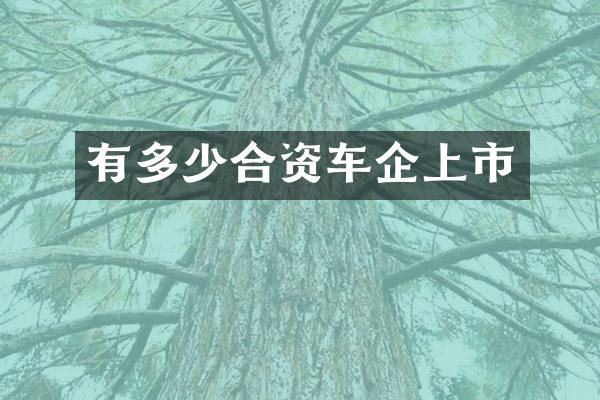 有多少合资车企上市