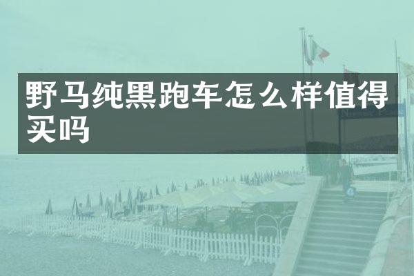 野马纯黑跑车怎么样值得买吗