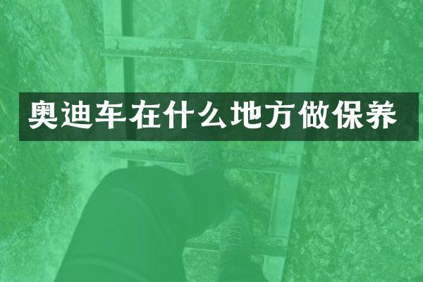 奥迪车在什么地方做保养