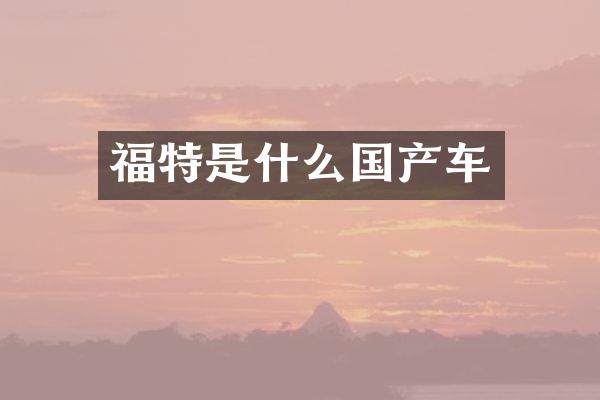 福特是什么国产车