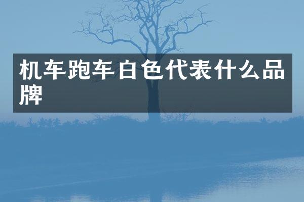 机车跑车白色代表什么品牌