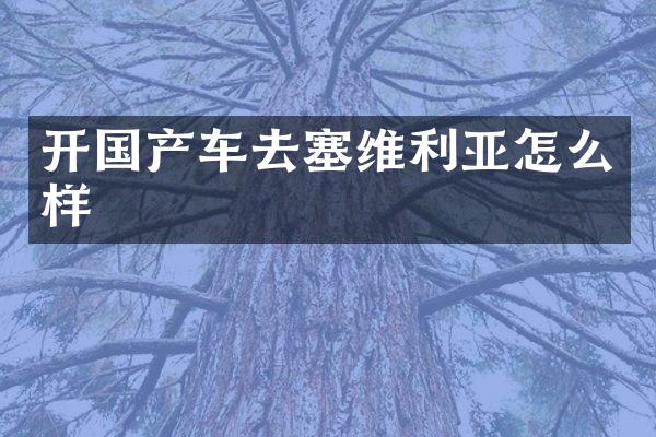 开国产车去塞维利亚怎么样