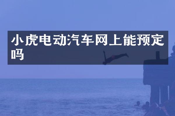 小虎电动汽车网上能预定吗