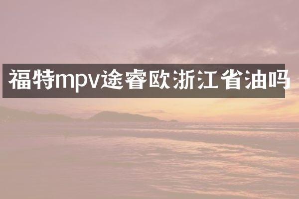 福特mpv途睿欧浙江省油吗