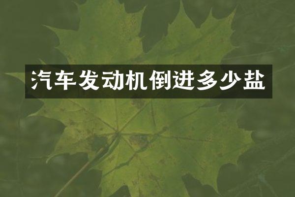 汽车发动机倒进多少盐