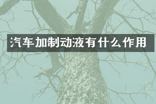 汽车加制动液有什么作用