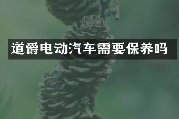 道爵电动汽车需要保养吗