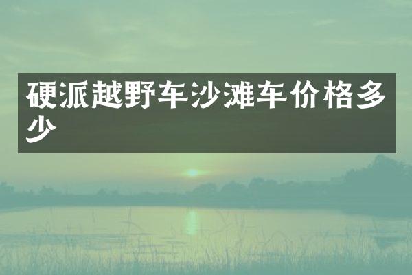 硬派越野车沙滩车价格多少