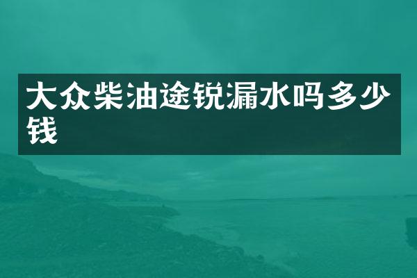 大众柴油途锐漏水吗多少钱