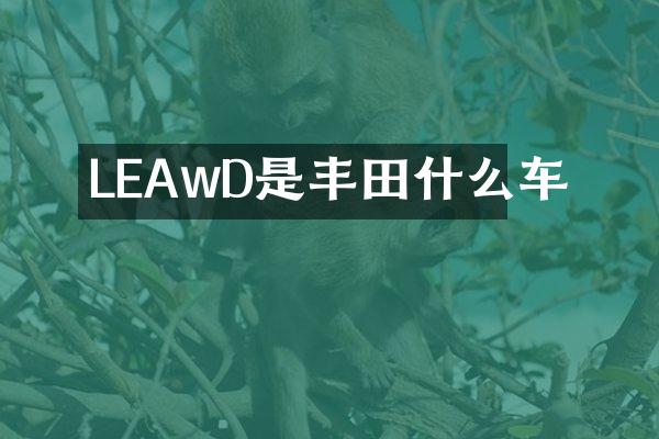 LEAwD是丰田什么车