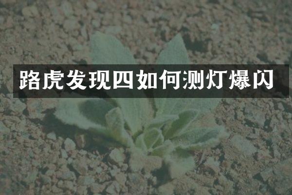 路虎发现四如何测灯爆闪