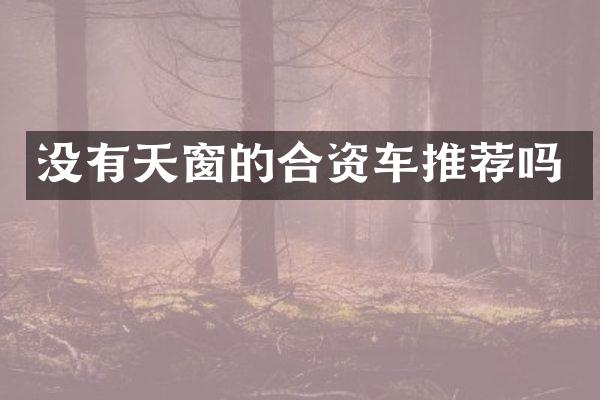 没有天窗的合资车推荐吗