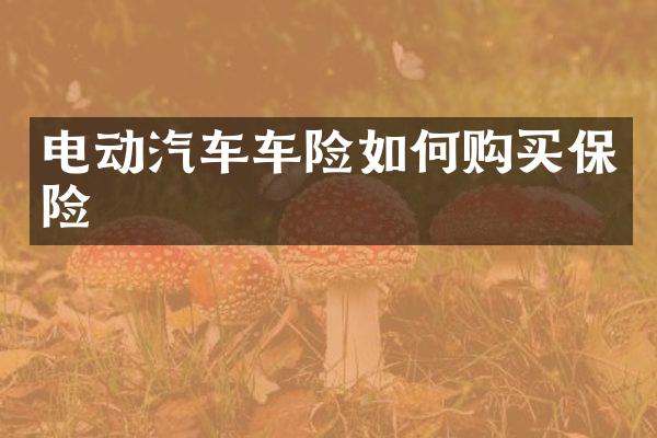电动汽车车险如何购买保险