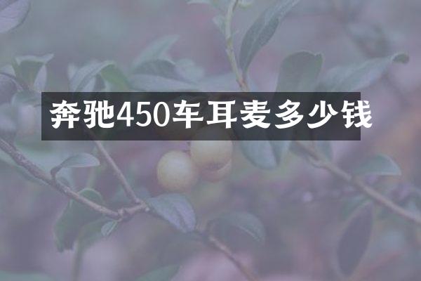 奔驰450车耳麦多少钱
