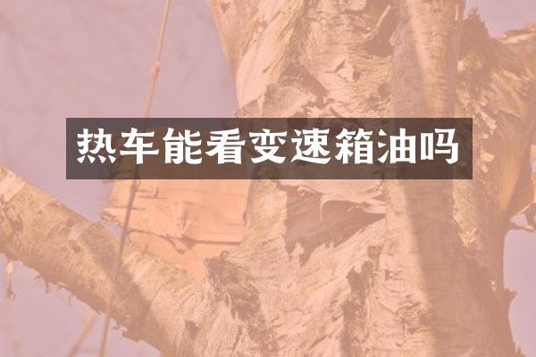 热车能看变速箱油吗