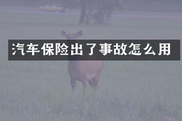 汽车保险出了事故怎么用