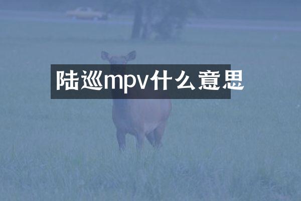 陆巡mpv什么意思
