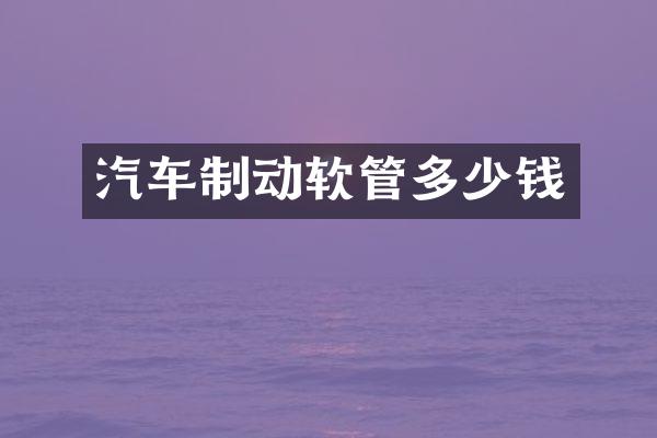 汽车制动软管多少钱