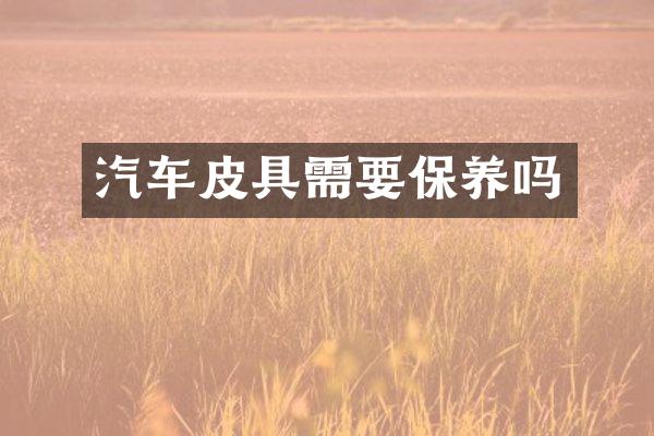 汽车皮具需要保养吗