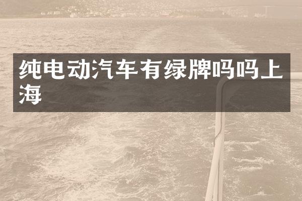 纯电动汽车有绿牌吗吗上海