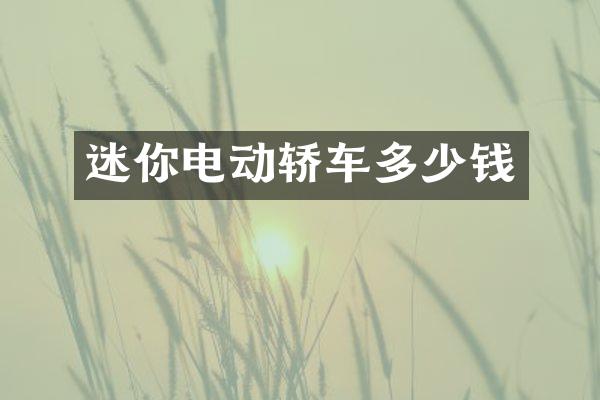 迷你电动轿车多少钱