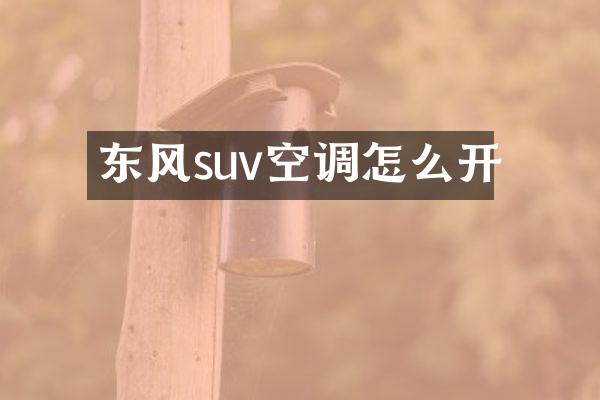 东风suv空调怎么开