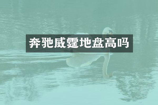 奔驰威霆地盘高吗