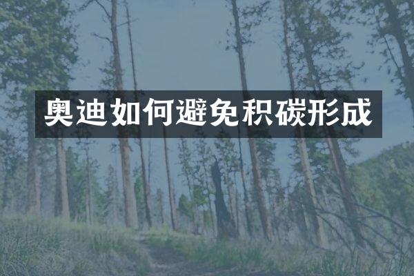 奥迪如何避免积碳形成