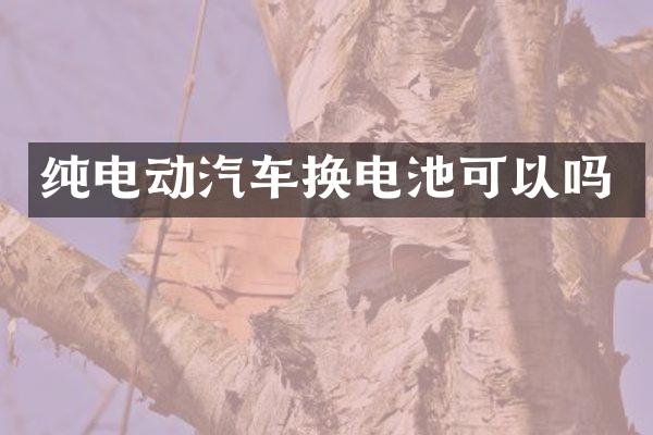 纯电动汽车换电池可以吗
