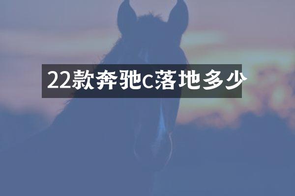 22款奔驰c落地多少