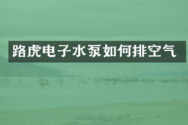 路虎电子水泵如何排空气
