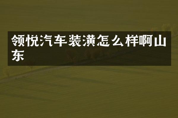 领悦汽车装潢怎么样啊山东