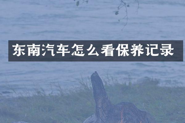 东南汽车怎么看保养记录