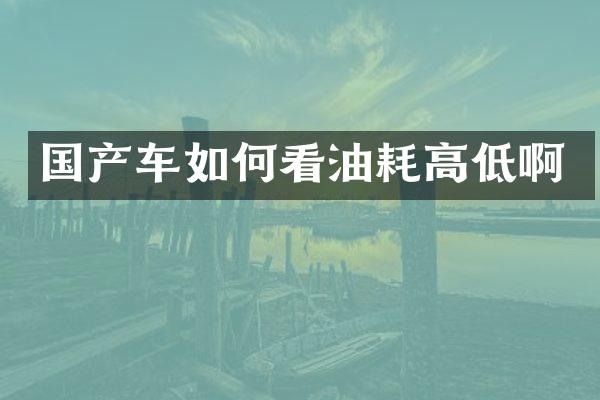 国产车如何看油耗高低啊