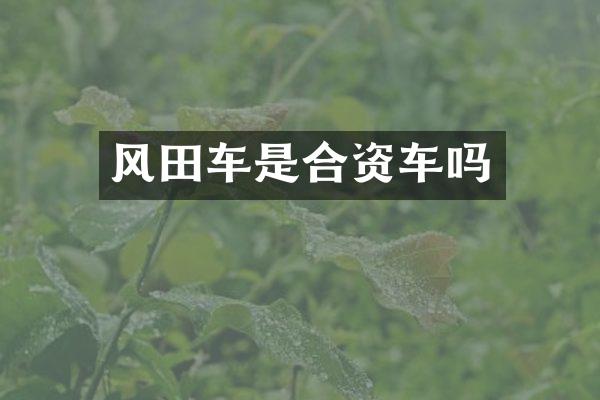 风田车是合资车吗