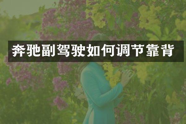 奔驰副驾驶如何调节靠背
