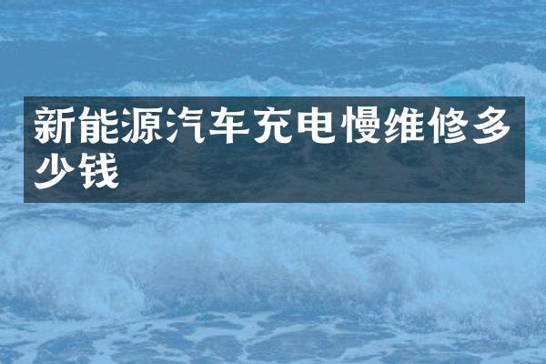 新能源汽车充电慢维修多少钱