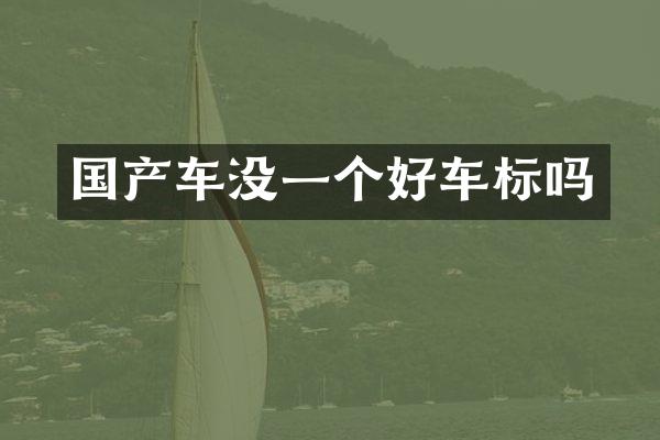 国产车没一个好车标吗