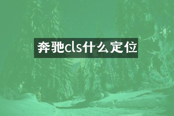 奔驰cls什么定位