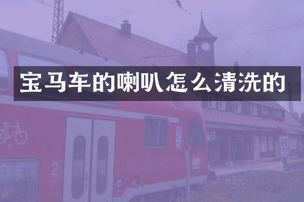 宝马车的喇叭怎么清洗的
