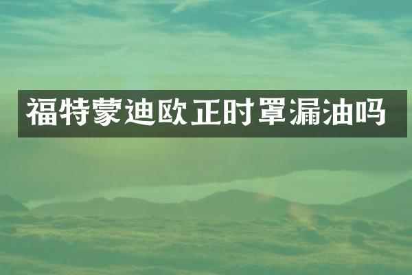 福特蒙迪欧正时罩漏油吗