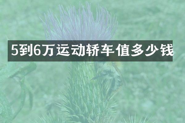 5到6万运动轿车值多少钱